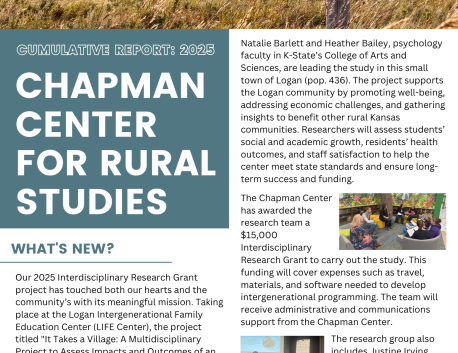 Cumulative Report page 1