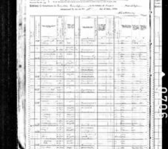 1880 Census