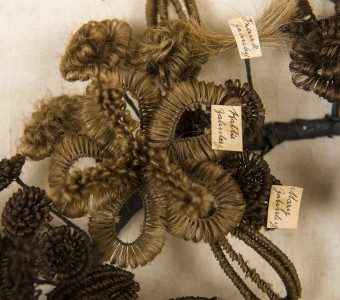 Hair Wreath