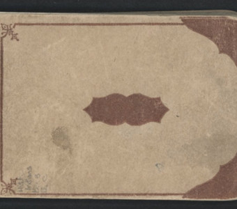 A Native Ledger