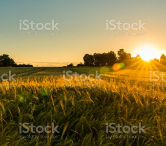 Stock photo of a field