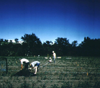 K-State students learning to establish a grid at the Lonergan site before beginning excavations (summer 1966)