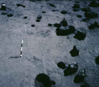 Artifacts and holes for posts that once outlined the floor of this ancient house at the Lonergan site (summer 1966)