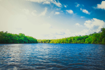 Stock photo of a lake.