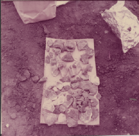 Materials recovered from the Holidome excavation.