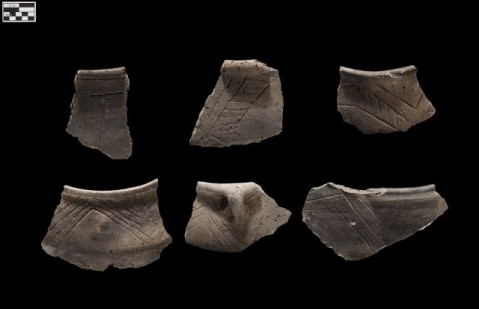 Pieces of broken pottery from the Steed-Kisker house site. (Courtesy of Bill Billeck and the Department of Anthropology, Smithsonian Institution)