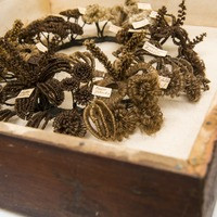 Angled view of a hair wreath in a shadow box