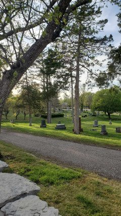 View of Sunset Cemetery looking towards the mausoleums near center of the cemetery. (Photo courtesy of Anna Poggi-Corradini)