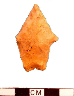 Langtry Point found at the Paul site